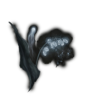 Ghost Glovewort 1-image